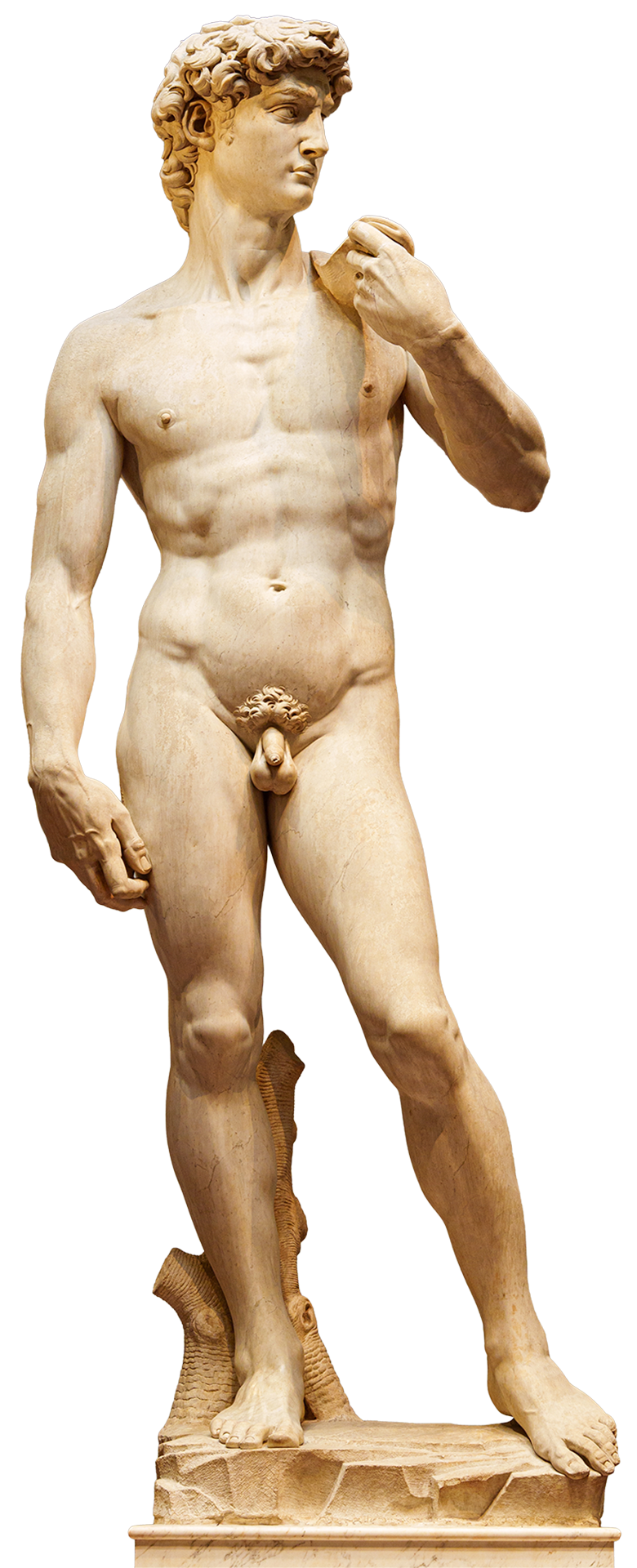 Davi, de Michelangelo