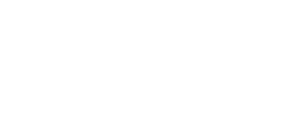 SS Interiores