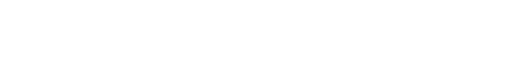 Feixer